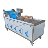 Конвейерная машина для мойки овощей и фруктов QX-2200