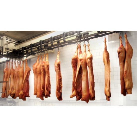 Подвесной полосовой путь для мясокомбинатов и холодильников для транспортировки обрабатываемых туш - полутуш свиней и крупного рогатого скота , колбасных рам и другой тары  по подвесным путям на мясоперерабатывающих комбинатах - 1